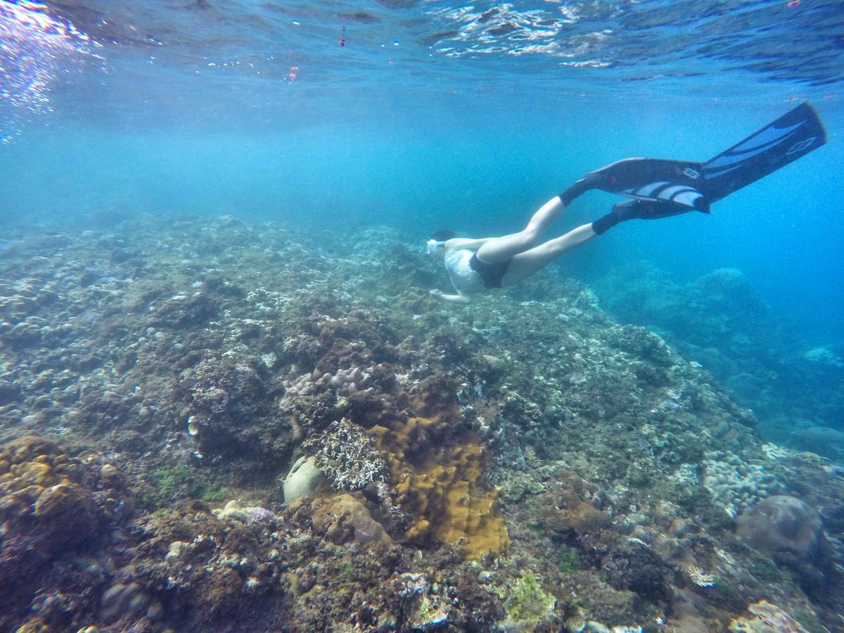 Imanuel Surfing B&B Heng-ch'un Exteriör bild